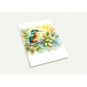 Set van 10 ansichtkaarten 'IJsvogel'