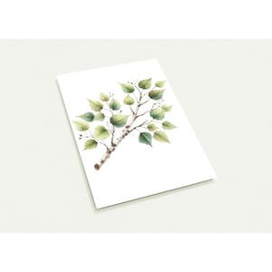 Lot de 10 cartes postales 'Bouleau