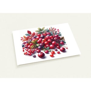Lot de 10 cartes postales 'Cranberries'