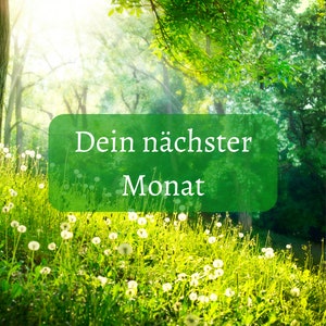 Intuitive Kartenlegen / Dein nächster Monat
