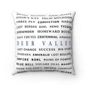 Deer Valley Ski Trails, Accent Pillow, Ski Home Decor, Skiing Inspired Throw Pillow, Skiing Gifts