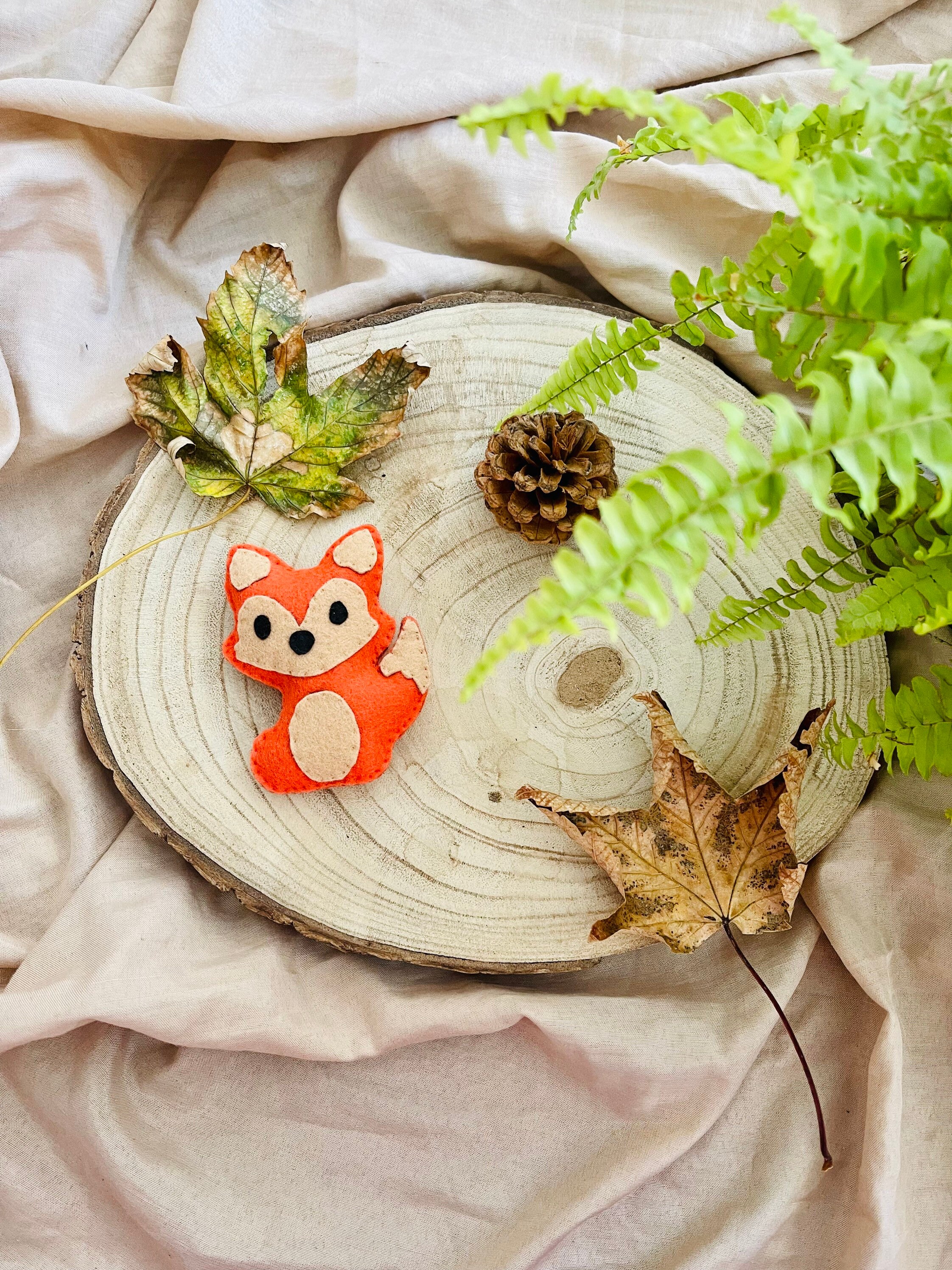 Bernard Le Renard à L'herbe Chat