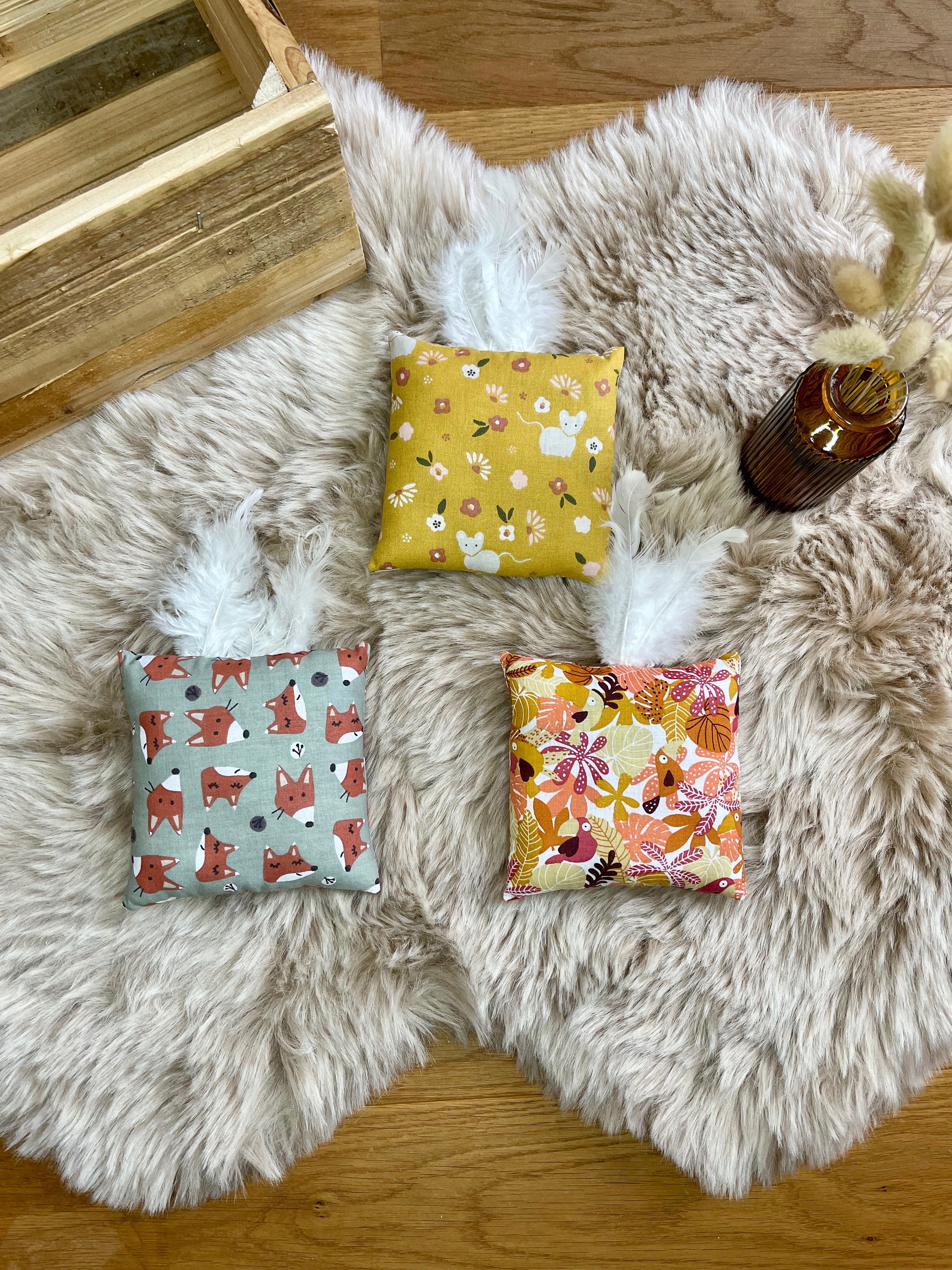 Coussinet à L'herbe Chat