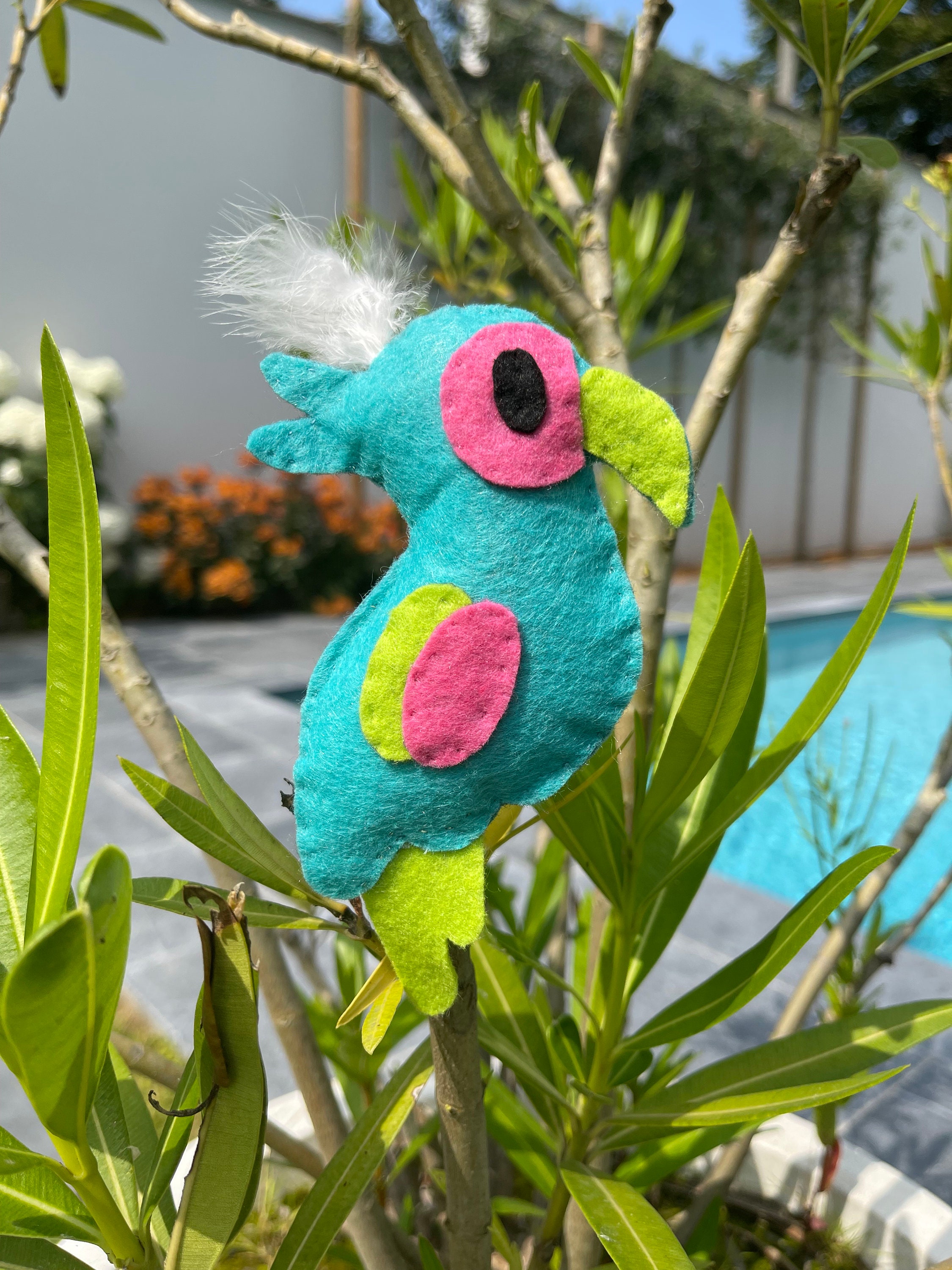 Rio L'oiseau à L'herbe Chat