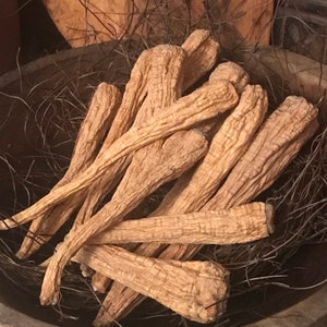 Dried Parsnips Bowl Filler Primitive