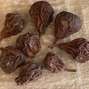 Cellar Pears Whole Dried Pears Bowl Trencher Basket Filler