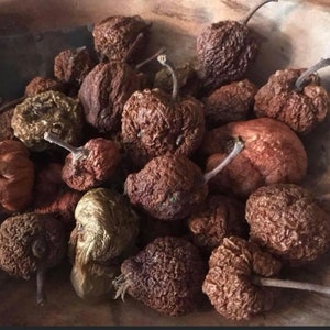 May include: A bowl filled with dried apples. The apples are brown and wrinkled, and some have stems attached. The bowl is made of wood and has a natural finish.