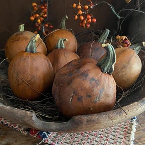 Ball Pumpkin Whole Dried Pumpkin Primitive