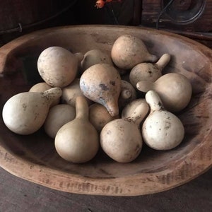 Dried Spinner Gourds