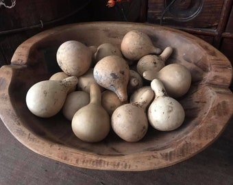 Dried Spinner Gourds