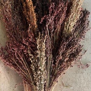 May include: A bundle of dried ornamental grasses in shades of brown, tan, and burgundy. The grasses have delicate, feathery seed heads and slender stems. The arrangement is tied together at the base, creating a natural, rustic aesthetic.