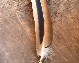 Brown Black Feather Pen Make Do Early Primitive Cabin