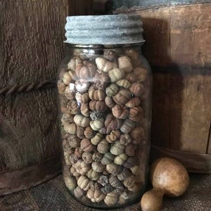May include: A glass jar with a metal lid filled with dried gourds. The jar is sitting on a burlap surface next to a dried gourd.