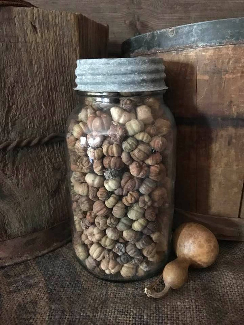 May include: A glass jar with a metal lid filled with dried gourds. The jar is sitting on a burlap surface next to a dried gourd.