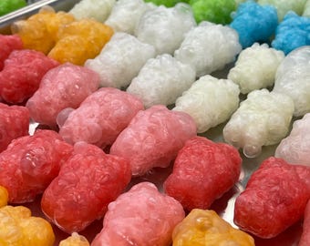Gevriesdroogde gummyberen - originele fruitige soezen - gemengde smaken - zelfgemaakt knapperig snoep