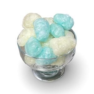 Freeze Dried Tahoe Beach Bears Mix - Gummy Bears Watermelon Pineapple Mixed Flavors - Homemade Crunchy Candy