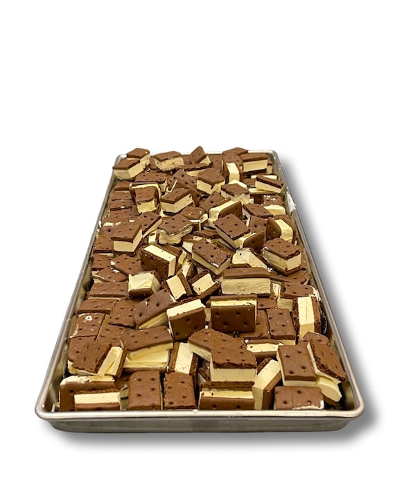 Star Candies Gefriergetrocknetes Vanilleeis - Knuspriger Astronauten-Snack 2 Stück