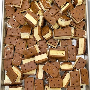 Freeze Dried Ice Cream Sandwich Bites - Astronaut Ice Cream Vanilla Neapolitan Cookies and Cream Caramel Flavor - Homemade Crunchy Candy