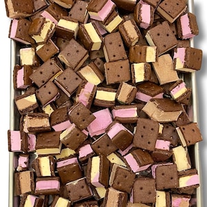 Freeze Dried Neapolitan Ice Cream Sandwich Bites - Astronaut Ice Cream Vanilla Cookies and Cream Caramel Flavor - Homemade Crunchy Candy