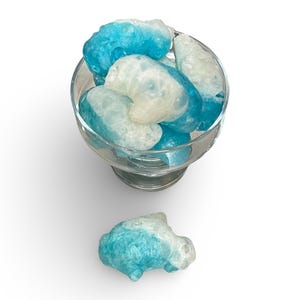 Freeze Dried Gummy Sharks - Blue Sharks - Homemade Crunchy Candy