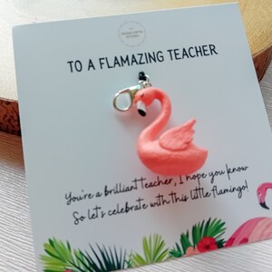 Aazon.co: Teacher Appreciation Gifts In Bulk, Thank You Gifts For