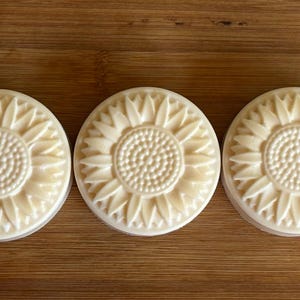 Vegan Solid Shampoo Bar: Sulfate-Free, Biodegradable - 3.5 oz
