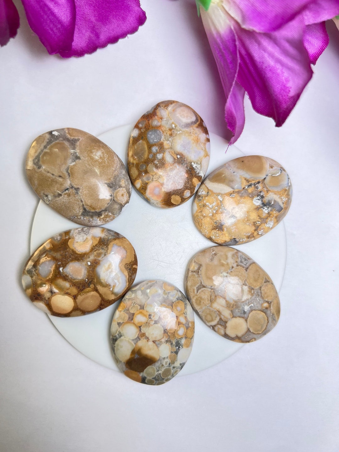 King Cobra Jasper chamthwala Jasper Oval Shape Worry Stone for Crystal Healing and Meditation