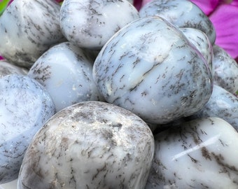 Dendritic Agate Tumbled Stones Healing Crystals in pack sizes of 1,2,3,4,5,6 and 10 Pieces Quality AAAAA +++++