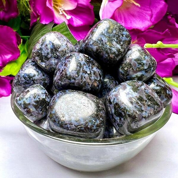 Mystic Merlinite Stone INDIGO GABBRO stone Tumbled Stones Healing Crystals in pack sizes of 1,2,3,4,5,6 and 10 Pieces Quality AAAAA +++++