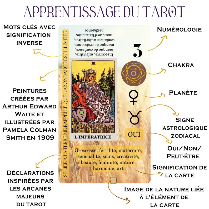 May include: A tarot card with the Empress illustration, featuring a woman in a crown. The card includes text in French, with keywords, numerology, and astrological symbols. The card's theme is about learning tarot.
