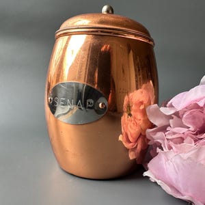 Puede incluir: Un tarro de cobre con tapa de plata y una etiqueta de plata que dice "SENAP".