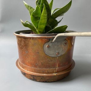 Peut inclure: Un pot en cuivre avec une poignée en argent, utilisé comme pot de fleurs pour une plante serpent verte.