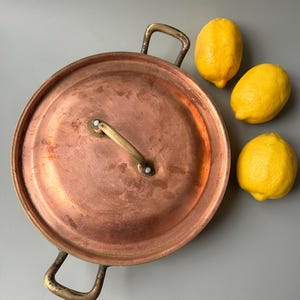 Peut inclure: Une casserole en cuivre avec un couvercle et deux poignées, ainsi que trois citrons jaunes vifs. La casserole est de forme circulaire avec un couvercle et une poignée sur le dessus. Les citrons sont lisses et vibrants.