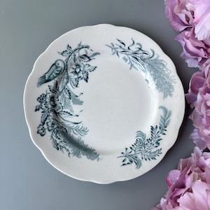 Puede incluir: Plato de cerámica blanca con borde festoneado, adornado con motivos florales y de pájaros en color turquesa. El plato presenta un diseño detallado de flores, hojas y un pájaro posado. El plato está sobre un fondo gris con flores rosas.