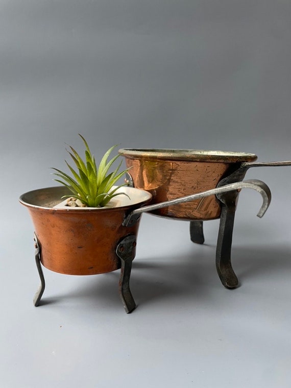 bonsai plant pot Grow Your Own Bonsai Tree Kit Chinese Juniper