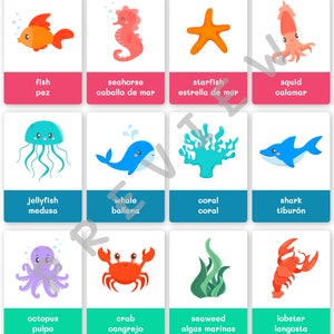 FlashCards Submarinos para Impressão Inglês-Espanhol