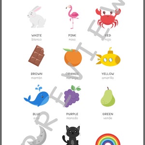 Bilingual English Spanish Colors Poster