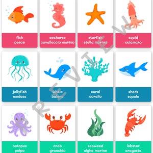 FlashCards Submarinos para Impressão Inglês-Italiano