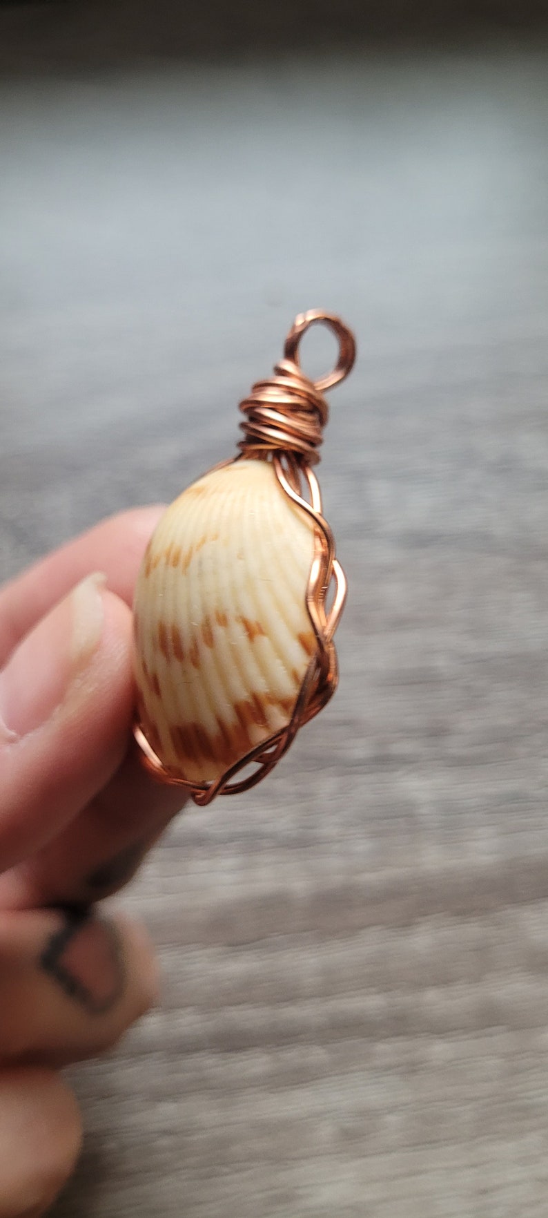 Small Wire Wrapped Shell Sea Shell Pendant | Wire Wrapped Shell Pendant - Etsy