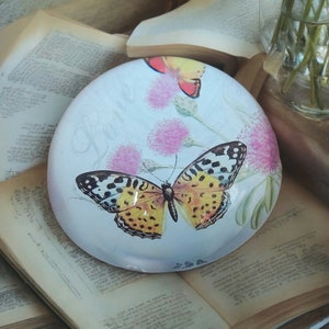 Vintage Schmetterling Briefbeschwerer, Schmetterling Liebhaber, Insekt Briefbeschwerer, Kuppel Briefbeschwerer, Mittlere Kuppel, Wohnkultur Sammler Briefbeschwerer,