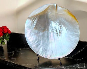 Vintage Large Mother of Pearl Shell Dish - Caviar Dish- Serving Shell Dish - Thick Shell dish - Decorative Tray - Iridescent - Plate