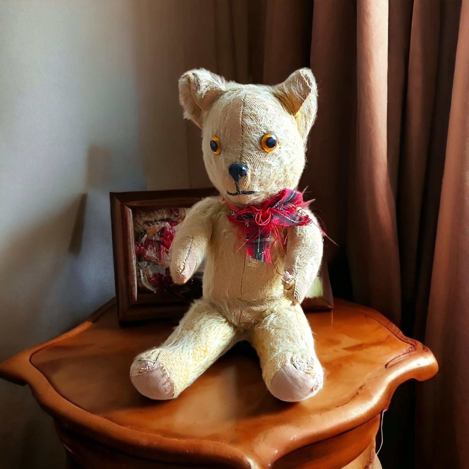 Pedigree Bear - Etsy Canada