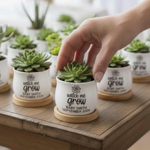Personalized Mini Succulent Pot Baby Shower Favor | Custom Ceramic Pot with Bamboo Tray