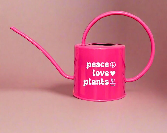 Pink Watering Can – Plant Designs