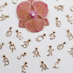 May include: A collection of gold-tone letter charms with clear crystal accents. The charms are arranged on a white surface with a pink orchid in the background.