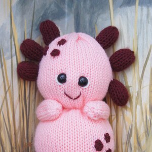 Annie the Axolotl