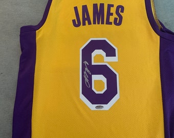 25% OFF the Nike Los Angeles Lakers LeBron James Black Mamba