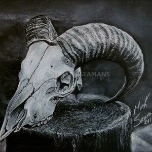 Charcoal Skull Portrait
