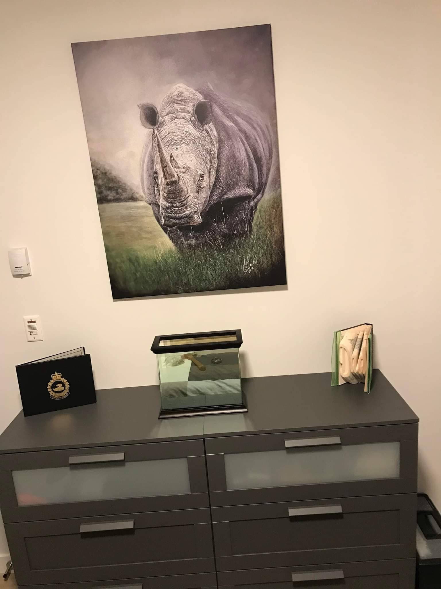 White Rhino in Pastel - Etsy White Rhino in Pastel - Etsy