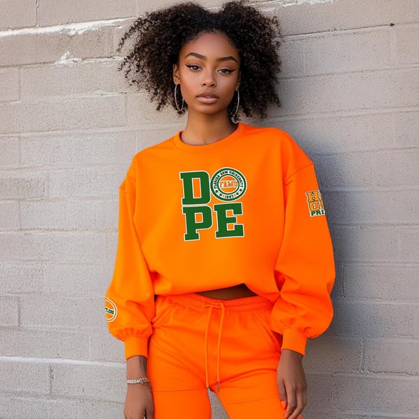 Moletom com capuz da Florida A&M University | FAMU HBCU | Moletom DOPELIFE Rattlers | Camiseta universitária personalizada | Marca de propriedade de pessoas negras